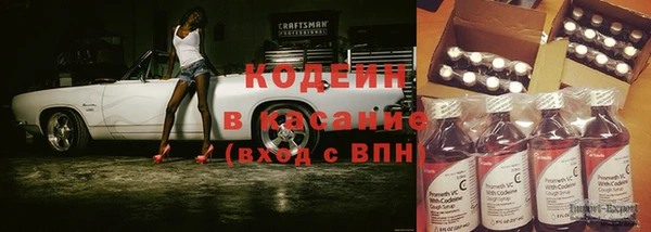дживик Богородск