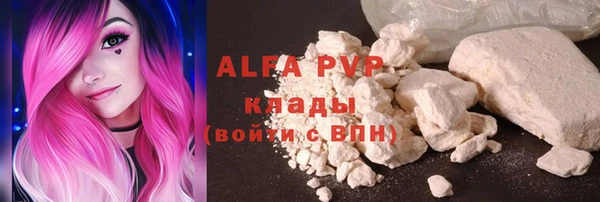 метадон Богданович