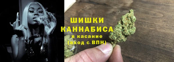 дживик Богородск