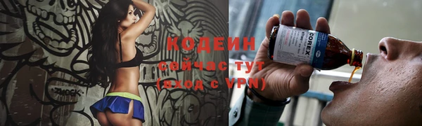 метадон Богданович