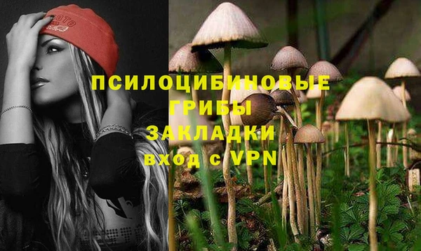 метадон Богданович