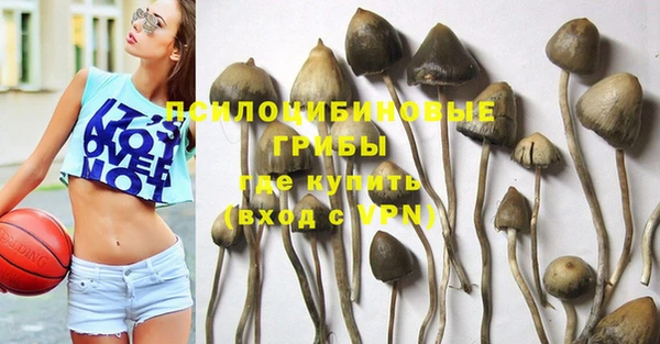 метадон Богданович