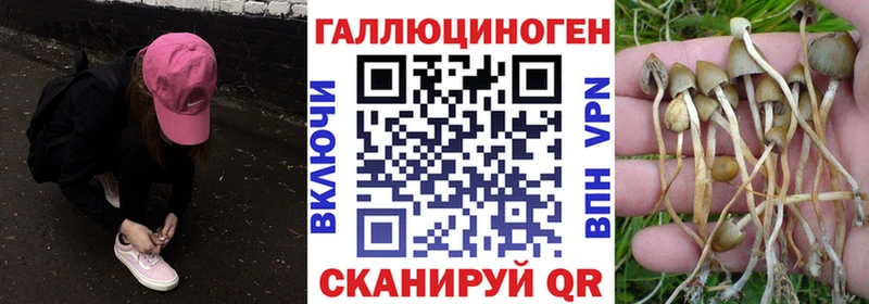 Галлюциногенные грибы Psilocybine cubensis  hydra маркетплейс  Донецк  хочу  